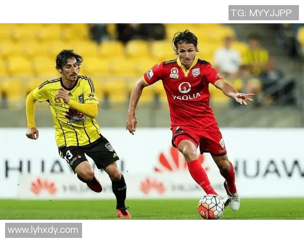 墨尔本与惠灵顿对决比分预测分析及赛前展望